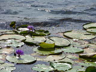 Walking Beside Still Waters on Stormy Days