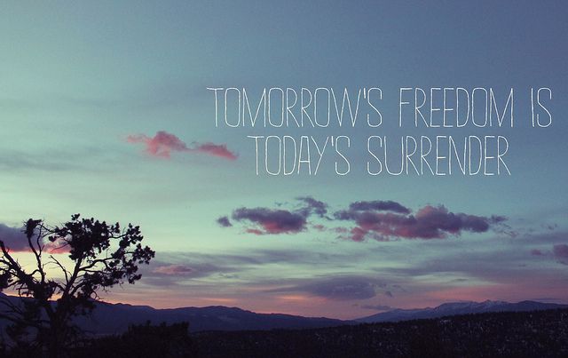 freedom surrender